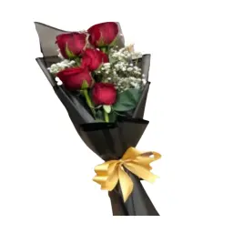 باقة اتش 33